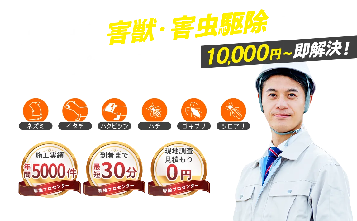 お急ぎの害獣・害虫駆除は、駆除プロセンター 2,800円～即解決！